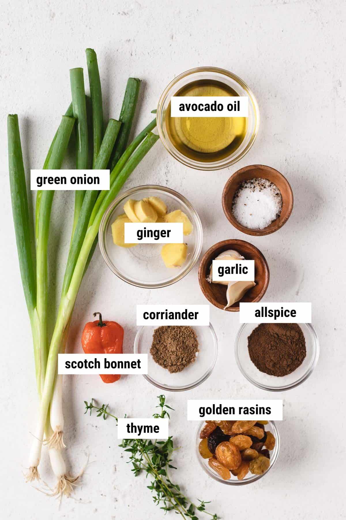 Picture of green onions, avocado oil, ginger, garlic, chili, corriander, allspice, thyme, and golden raisins.