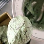 ice cream scoop with mint chocolate chip ice cream