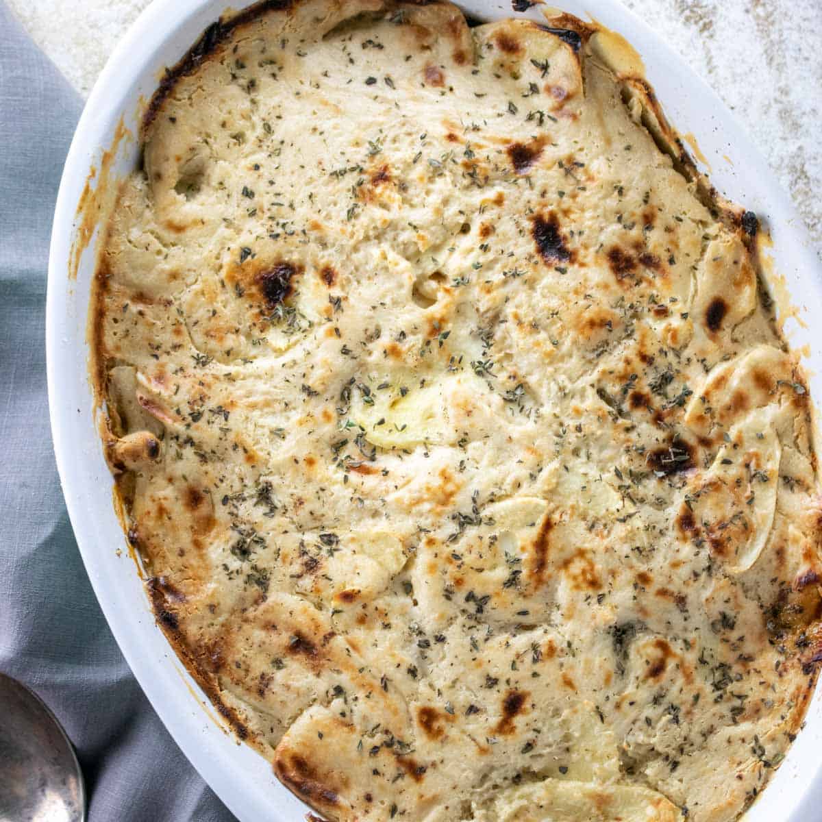 cranberry-parsnip-gratin-recipe
