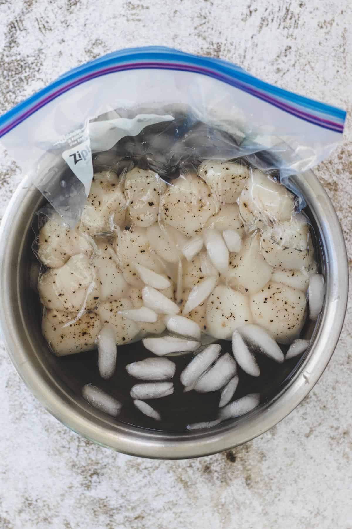 Scallops in an ice bath.