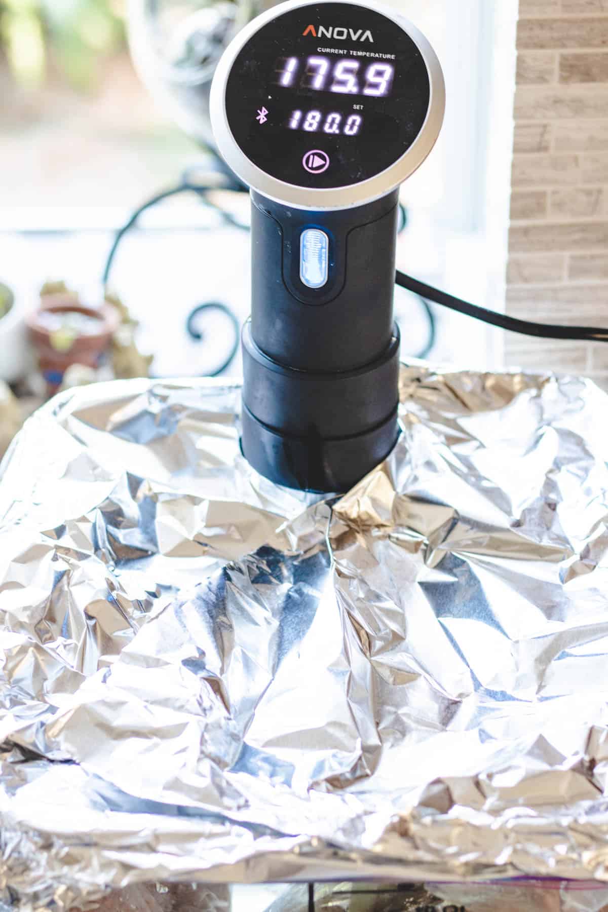 Sous vide container covered with aluminum foil.