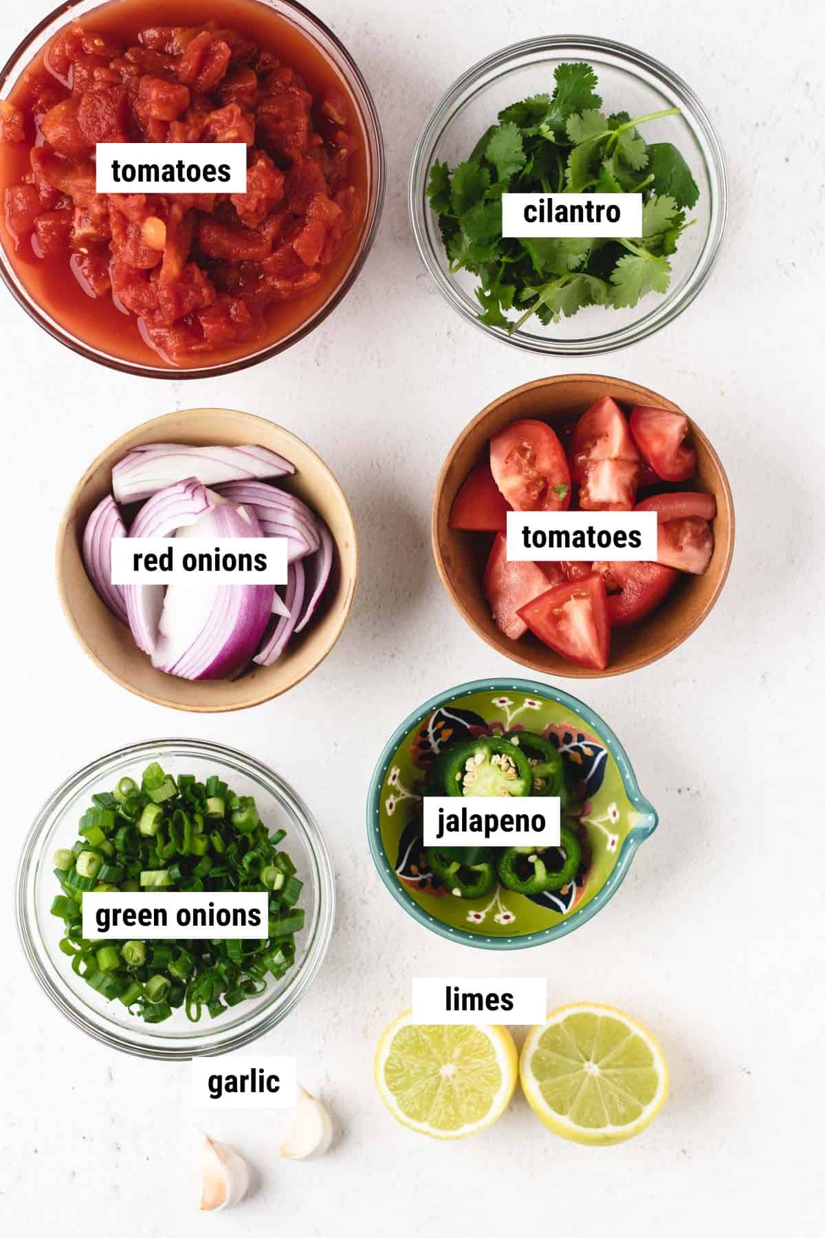 Photo of salsa ingredients including tomatoes, cilantro, onions, jalapeno, garlic, and limes.