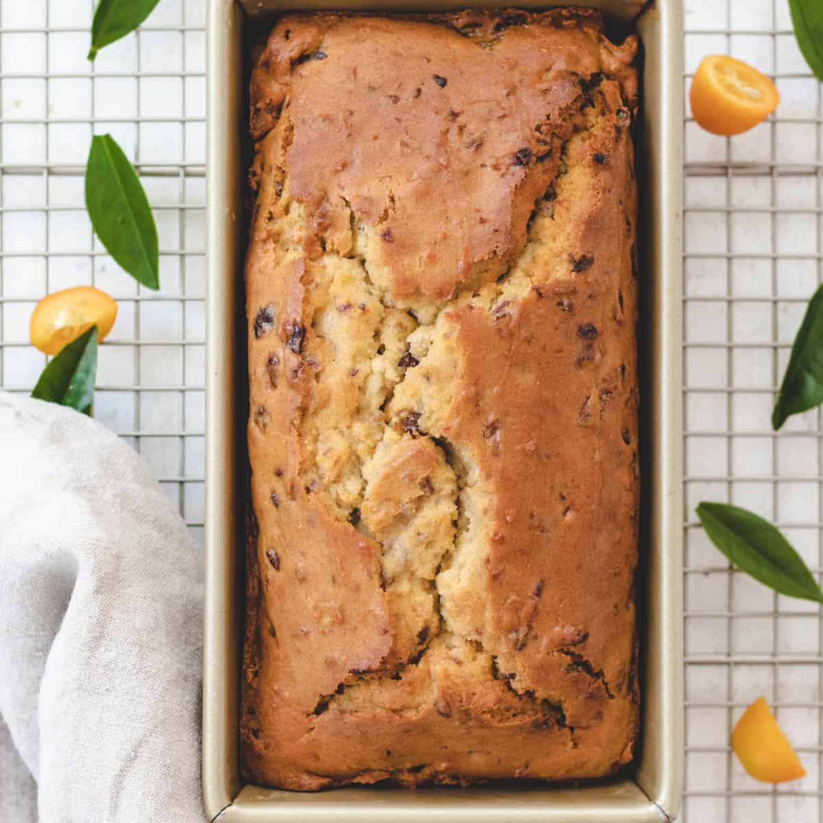 Picture of a baked gluten-free fruit loaf inside of a rectangle loaf pan.