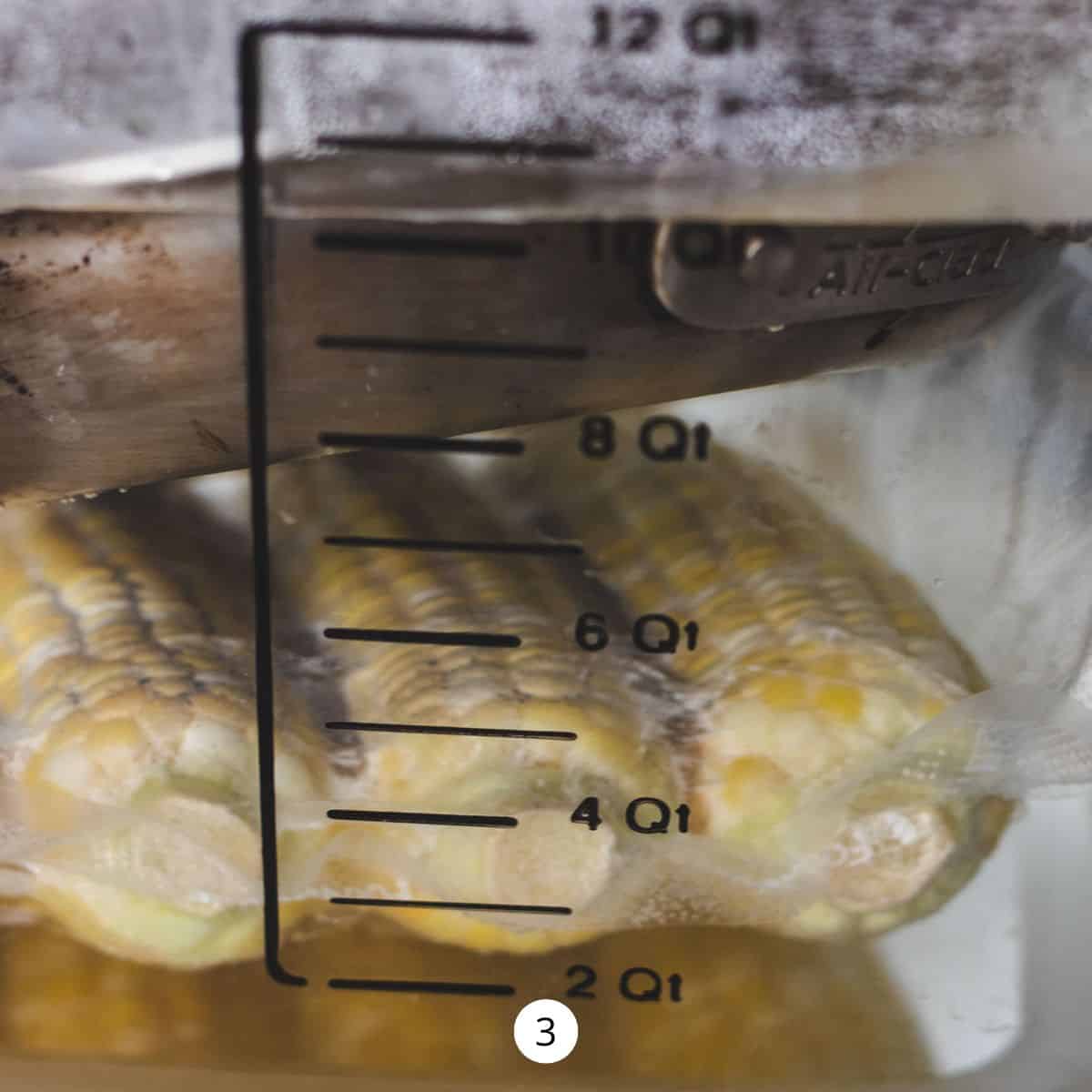 Corn submerged in a hot water bath weighted down with a metal pan.