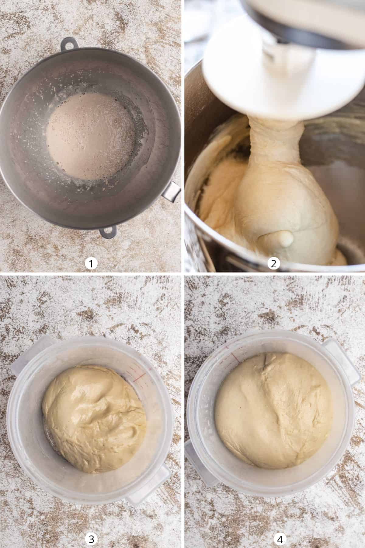 Making the bread dough using a stand mixer and proofing the dough in a large plastic container.
