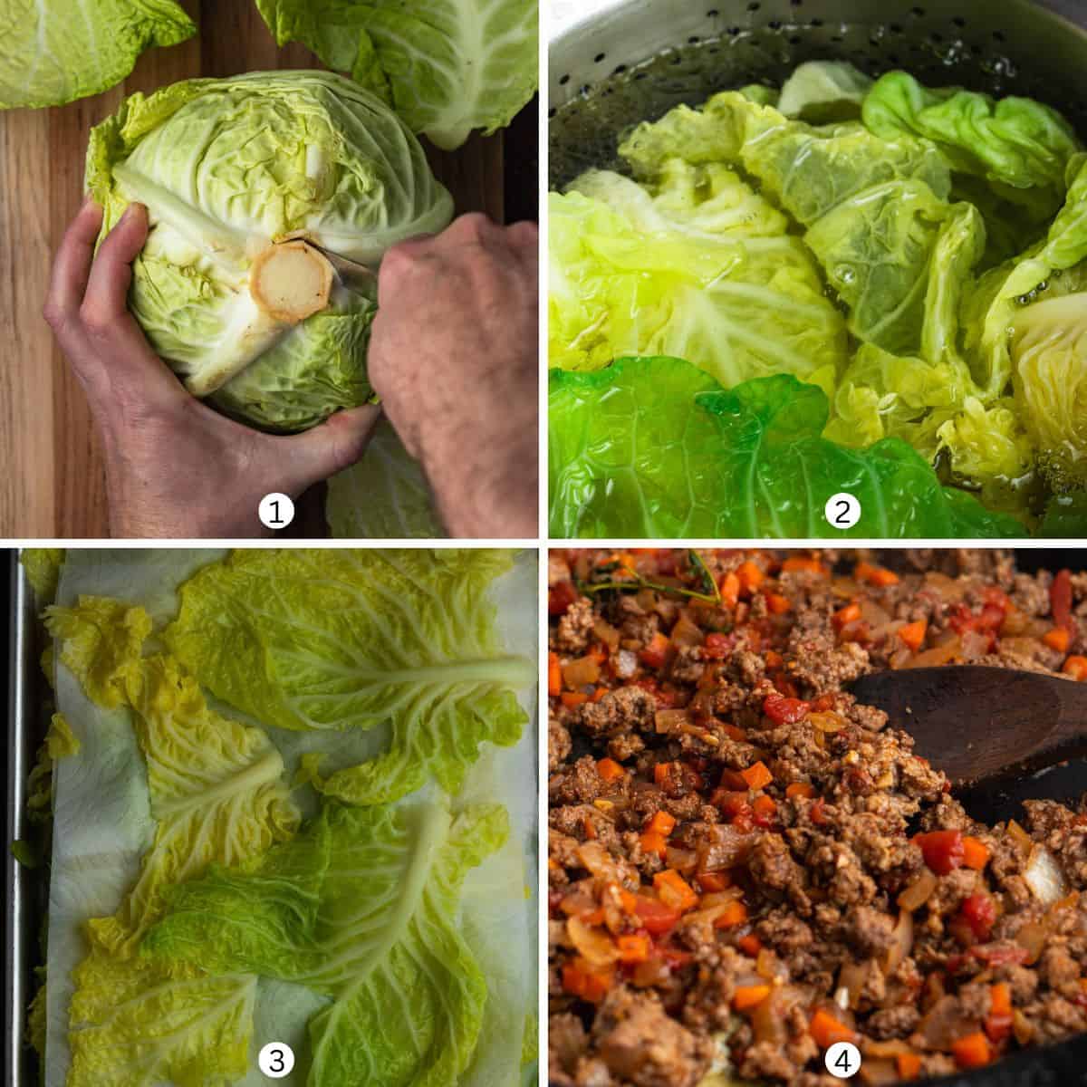 Hands coring a Savoy cabbage, removing the tough center and cooking the leaves in boiling water.