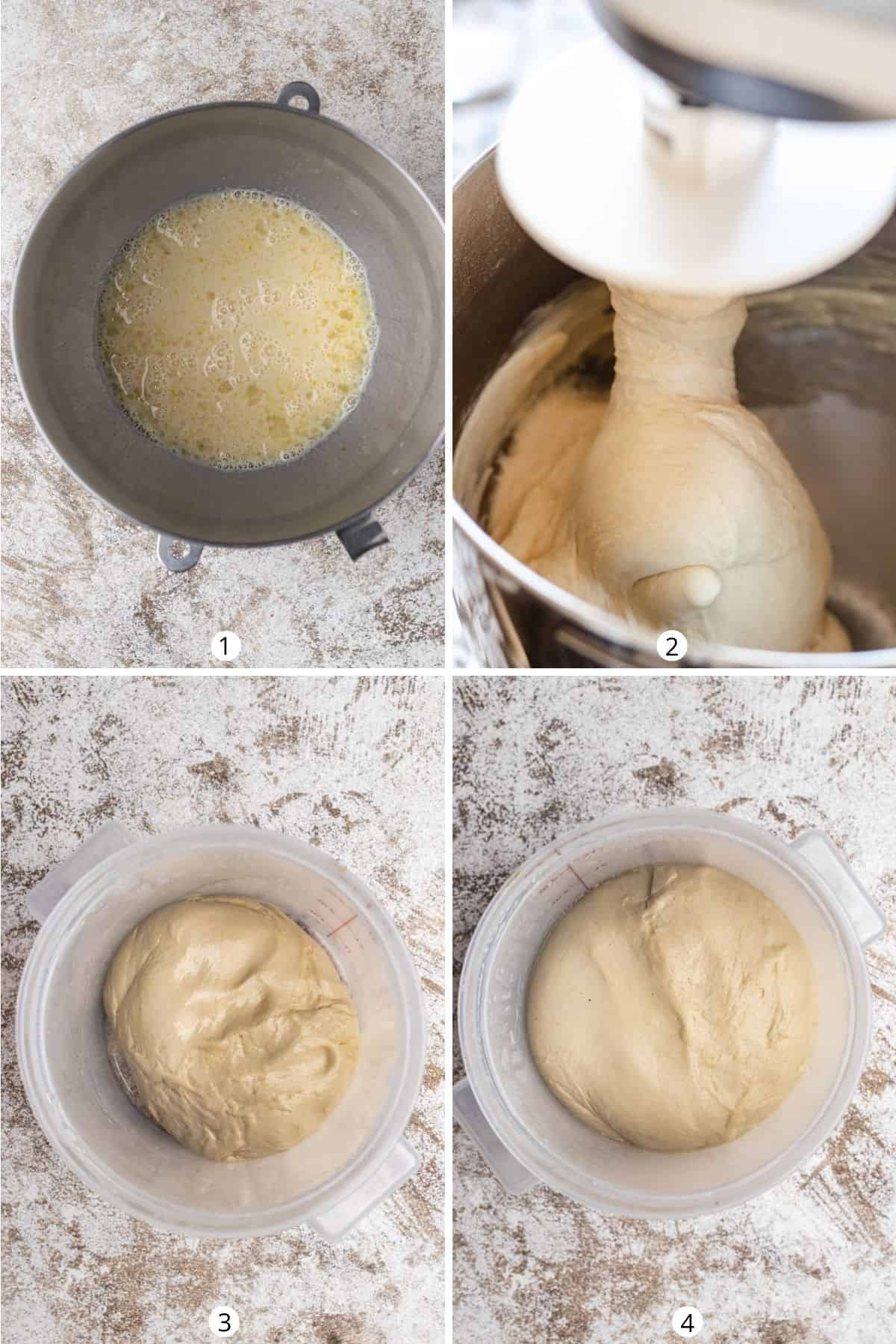 Activating yeast, then using a stand mixer to make bread dough followed by proofing the dough until it doubles in size.